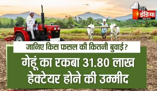 Rajasthan: 3 लाख हैक्टेयर बढ़ेगा रबी का रकबा ! दिवाली पर शुरू हुई रबी सीजन की फसल बुवाई; उपज भी बढ़ेगी